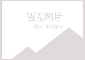 宁夏盼山化学有限公司